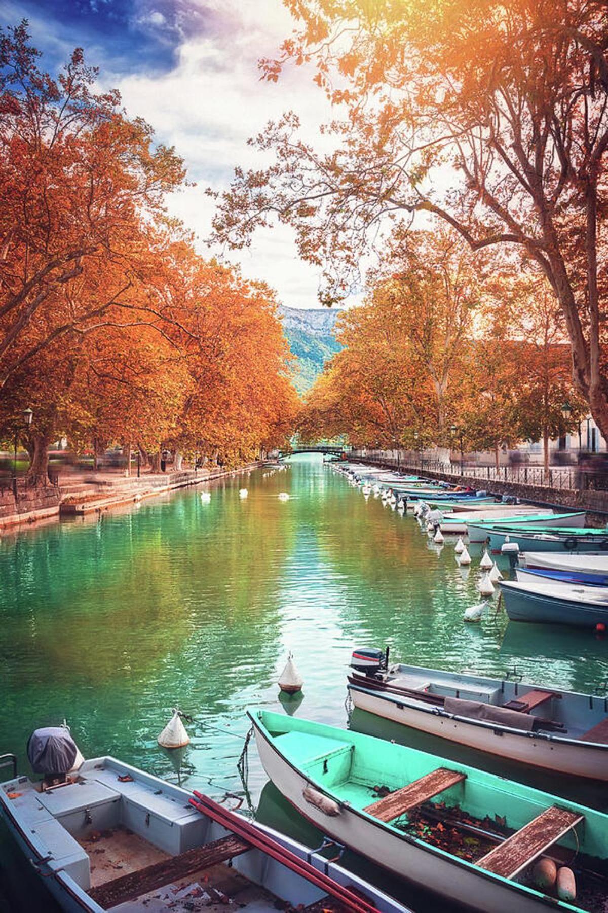 Reflet Bleu Du Lac D'Annecy 3 Etoiles - Face Au Lac, Parking Gratuit, Paddle Board Doussard Dış mekan fotoğraf